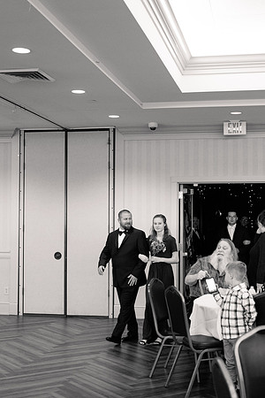Ashley and Victor - Brittany Lynn Imagery LLC - STL St Louis MO Wedding Portrait Photographer BW-71