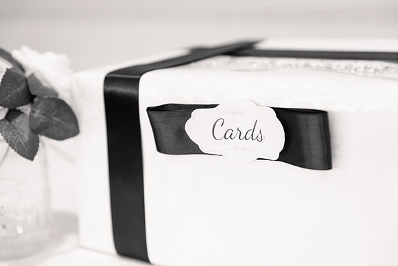 Ashley and Victor - Brittany Lynn Imagery LLC - STL St Louis MO Wedding Portrait Photographer BW-2
