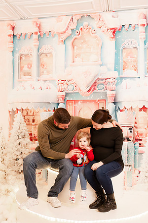 - Brittany Lynn Imagery LLC - Christie Lewis Homes - STL St Louis MO Portrait Photographer - Christmas 2024-128