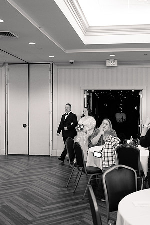 Ashley and Victor - Brittany Lynn Imagery LLC - STL St Louis MO Wedding Portrait Photographer BW-79