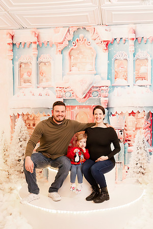 - Brittany Lynn Imagery LLC - Christie Lewis Homes - STL St Louis MO Portrait Photographer - Christmas 2024-125