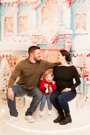- Brittany Lynn Imagery LLC - Christie Lewis Homes - STL St Louis MO Portrait Photographer - Christmas 2024-127