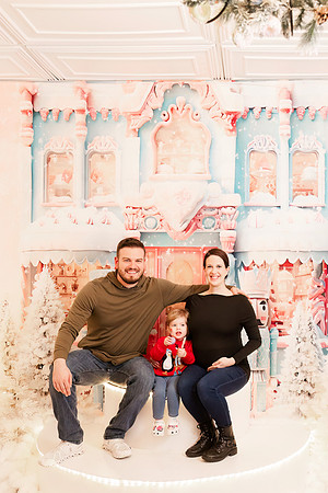 - Brittany Lynn Imagery LLC - Christie Lewis Homes - STL St Louis MO Portrait Photographer - Christmas 2024-126