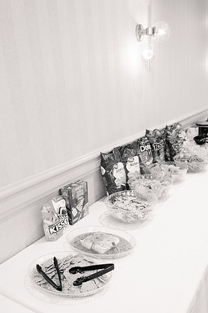 Ashley and Victor - Brittany Lynn Imagery LLC - STL St Louis MO Wedding Portrait Photographer BW-42